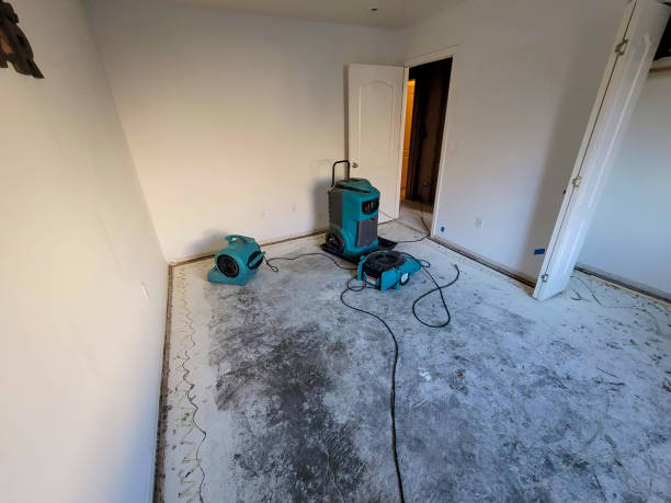 Best Water damage restoration near me  in Oak Hills, OR