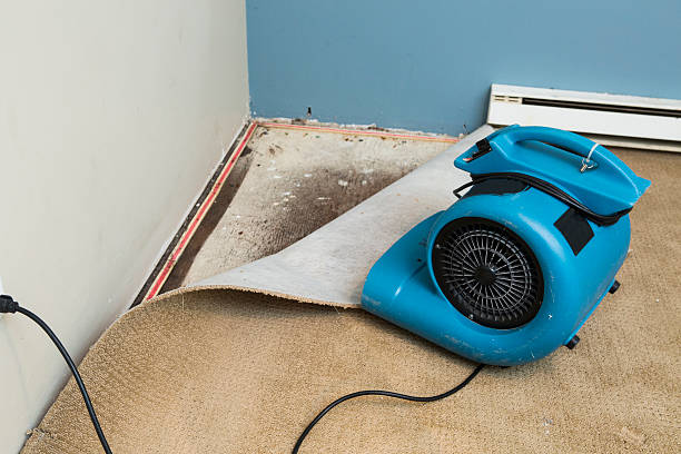 Best Ceiling water damage repair  in Oak Hills, OR